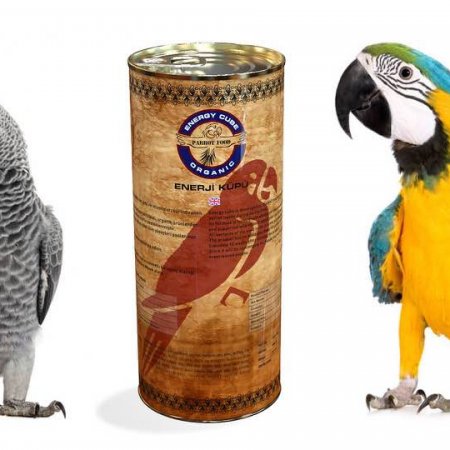 Neden organik papağan yemi